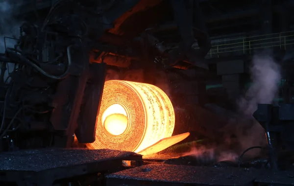 Metal and Metallurgy 2024